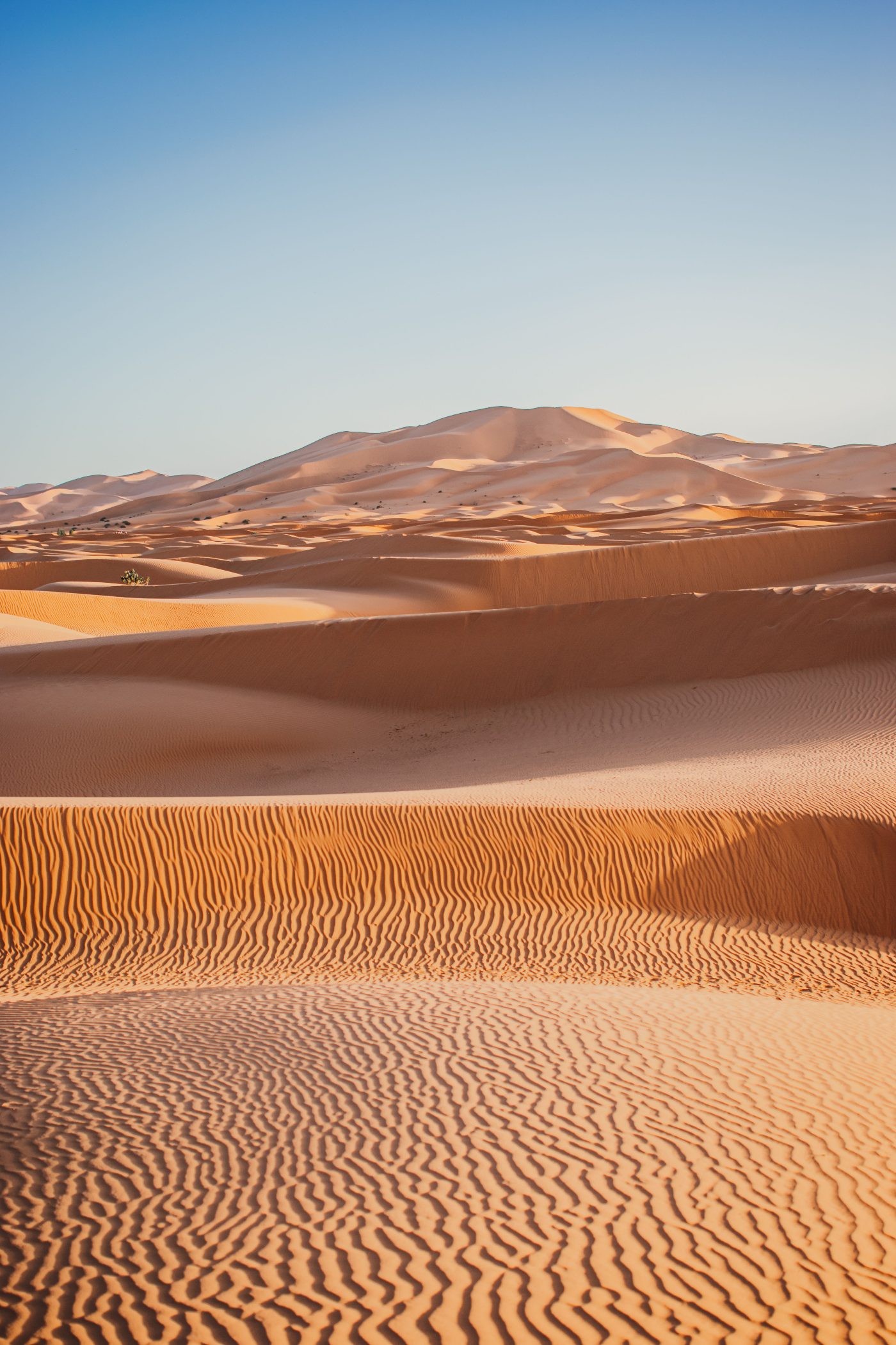 Merzouga, les dunes de l'Erg Chebbi